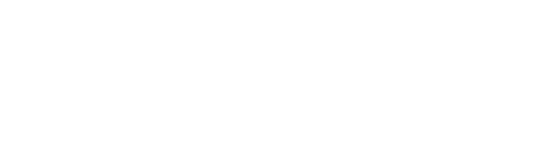 logo wiflow